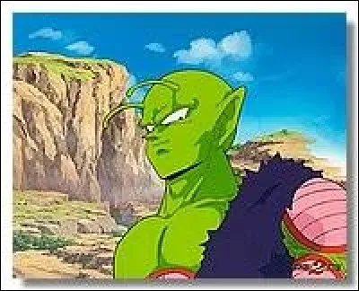 De qui est amoureux Piccolo ?