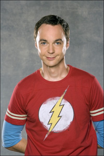 Quel métier fait Sheldon ?