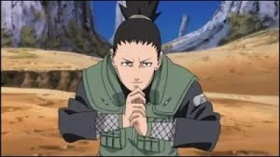 Et Shikamaru ?