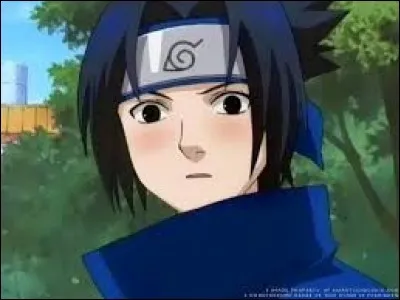 Avec qui Sasuke s'est-il marié ?