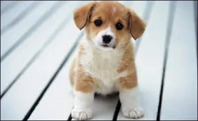 Le faire, c'est mener une vie fastueuse, se faire servir en toute chose : pa...