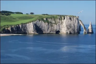 Dans quel département se situent les falaises d'Étretat ?
