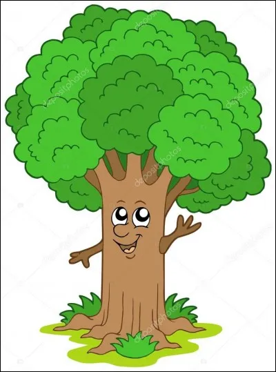 Les arbres respirent...