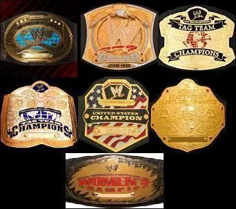 Quelle est la ceinture la plus prestigieuse ?