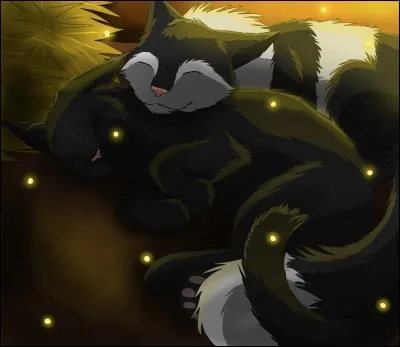 Mais il ne vit pas seul, qui est le chat qui lui tient compagnie ?