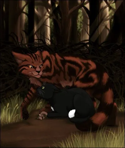 Apprécie-t-il son mentor ?