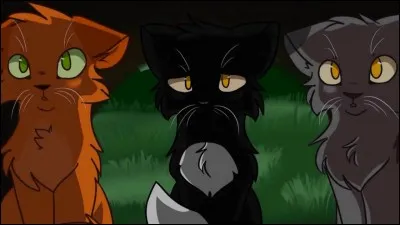 D'ailleurs, qui est son mentor ?