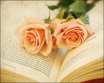 Qui est l'écrivain de "Un coeur simple" ?