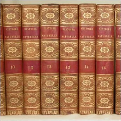 Qui a écrit "Nana" ?