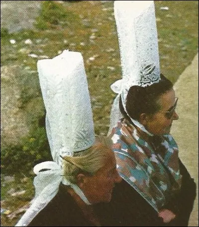 En passementerie, quel nom porte un bourdon irrégulier à gros renflements, employé comme ornement ?