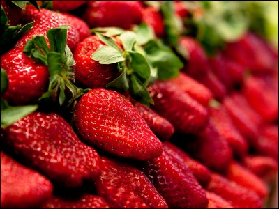 Quelle est la saison des fraises ?