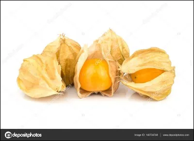 La tomatille est aussi appelée...
