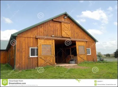 Chez qui Nuage de Jais va-t-il vivre quand Griffe de Tigre menace de le tuer ?