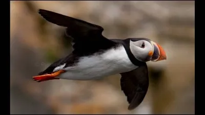 Quelle heure est-il dans cet extrait de la chanson « Je vole » ?
"C'est jeudi. Il est [...]
J'ai bouclé une petite valise 
Et je traverse doucement 
L'appartement endormi".