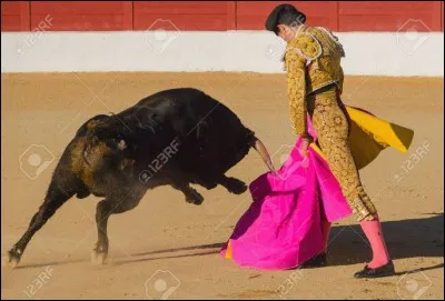 Dans la chanson « La corrida n'aura pas lieu », pour quelle raison n'aura-t-elle pas lieu ?
"Le matador est [...]".