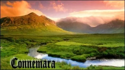 Dans la chanson « Les lacs du Connemara », Michel Sardou fait référence à Sean Kelly dans l'extrait ci-dessous : 
"Sean Kelly s'est dit 
Je suis catholique".
Qui est ce Sean Kelly dont on parle ?