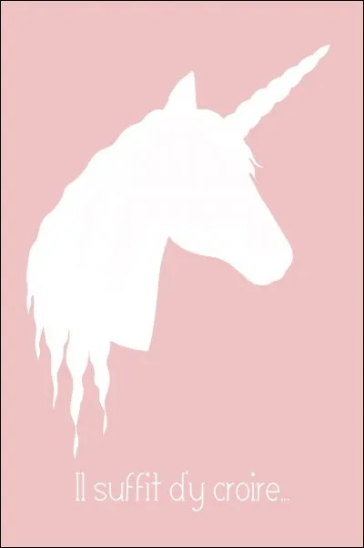 Quel animal te correspond le mieux ?