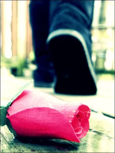 Lorsque son amoureuse partit déjà, il se dit "_____ pis" !