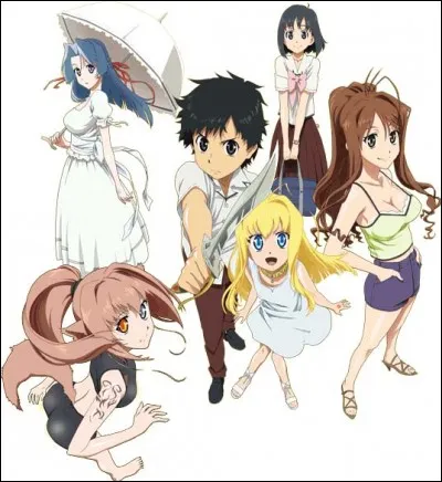 Quel est cet anime ?