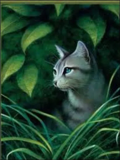 Quel est son nom dans la version originale ?