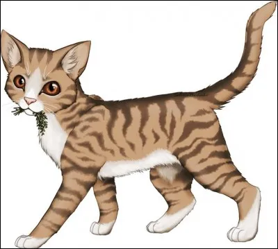 Quel est son nom dans la version originale ?