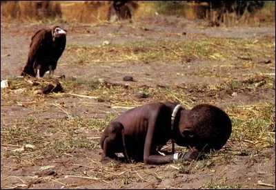 Terrible photo où l'on voit ce vautour attendre la mort de cette fillette pendant la famine au Soudan ! Le photographe recevra le prix Politzer pour cette photo. Elle provoquera un mort !
Qui a payé le prix fort pour cette photo ?