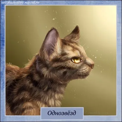 Quel était le nom de chef de Moustache ?