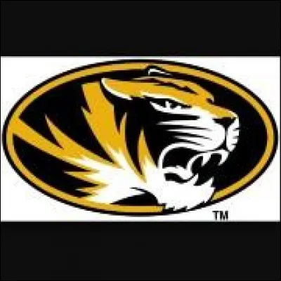 Qui est le "chef" du clan du Lion ?