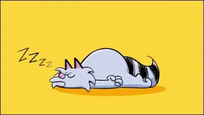 Comment s'appelle le chat ?