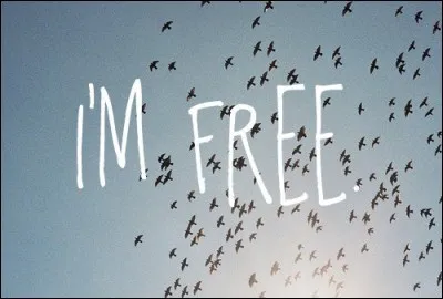 Qui a &eacute;crit, compos&eacute; et interpr&eacute;t&eacute; la chanson 'Free' ?