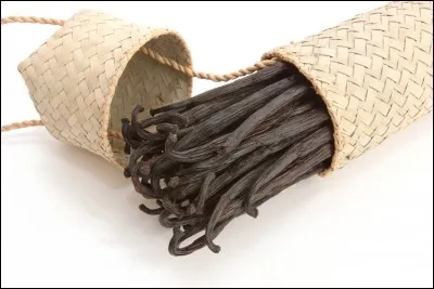 Sur quelle sorte de structure végétale la vanille pousse-t- elle ?