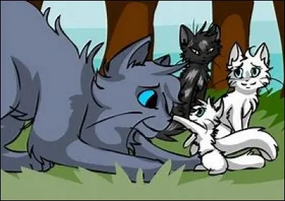 Quel est son nom de chaton ?