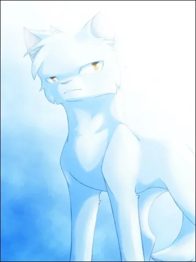 Combien a-t-il eu d'apprenti(e)s ?