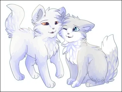 Combien a-t-il eu de compagnes ?