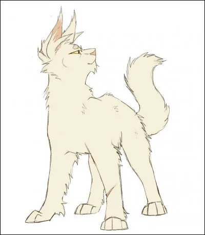 Quel est son nom allemand ?