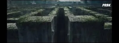 Pourquoi sont-ils dans le labyrinthe ?
