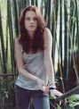 Quiz Twilight