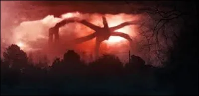 Sais-tu ce que c'est ?