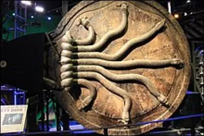 Plus tard, tu voudrais être...