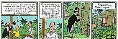 Les Cigares du Pharaon > Un mystérieux personnage nous montre un signe peint sur un arbre. Oui, mais le quel ?
