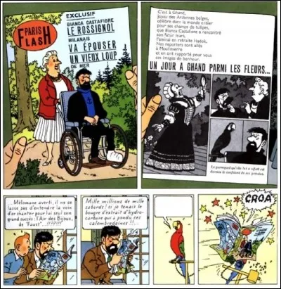 "Coco", le perroquet des "Bijoux de la Castafiore", n'a pas fini de nous enquiquiner... La preuve ! Que dit-il dans l'original ?