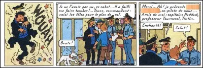 Dans la famille "Vol 714 pour Sydney", retrouvez le nom du copilote pas très sympa...