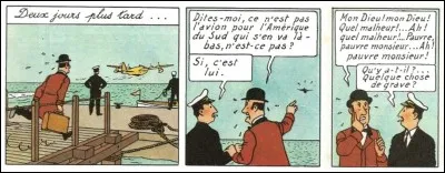 Les 7 boules de cristal > Le pauvre Nestor a l'air complètement affolé. Qu'annonce-t-il au préposé dans la case suivante ?