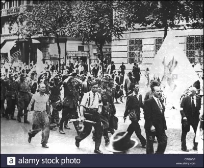 Qui a libéré Paris ?