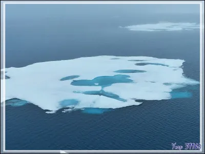 Si rien n'est fait, en quelle année n'y aura-t-il plus de banquise en été ?