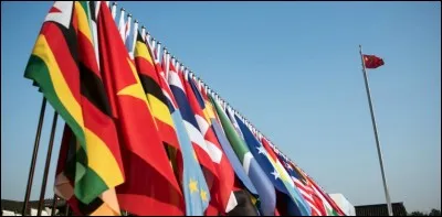 Comment appelle-t-on l'étude des drapeaux ?