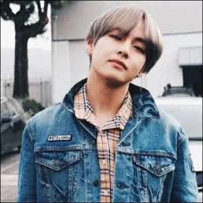 Quelle autre langue parle Taehyung, à part le coréen ?