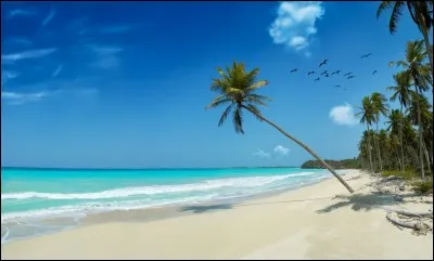 Quel est l'autre nom de la mer des Antilles ?