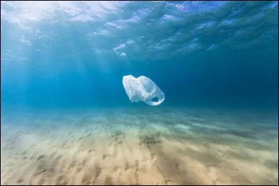 Quelle mer est la plus polluée du monde ?