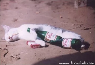 Qui fut le fondateur et longtemps le meneur de la Guilde ?